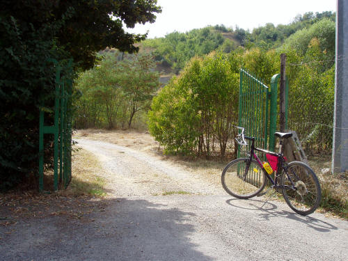Il Vivaio Forestale di Teramo