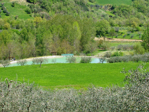 lago per la pesca sportiva di Travazzano