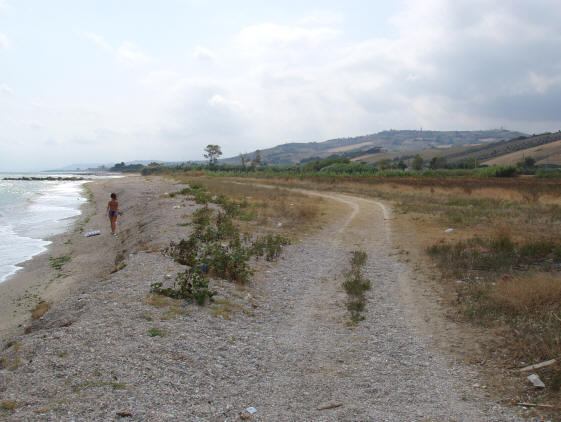 Un tratto di costa selvaggio a Cologna spiaggia nella Riserva del Borsacchio