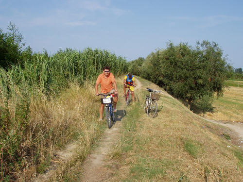 pista in via di sistemazione lungo l'argine del fiume Tronto nel versante di Martinsicuro