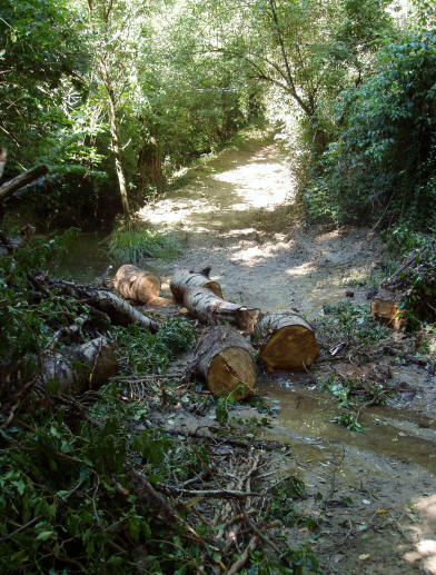 Il guado del fosso Rio Grande, tra Cavuccio e Villa Ripa